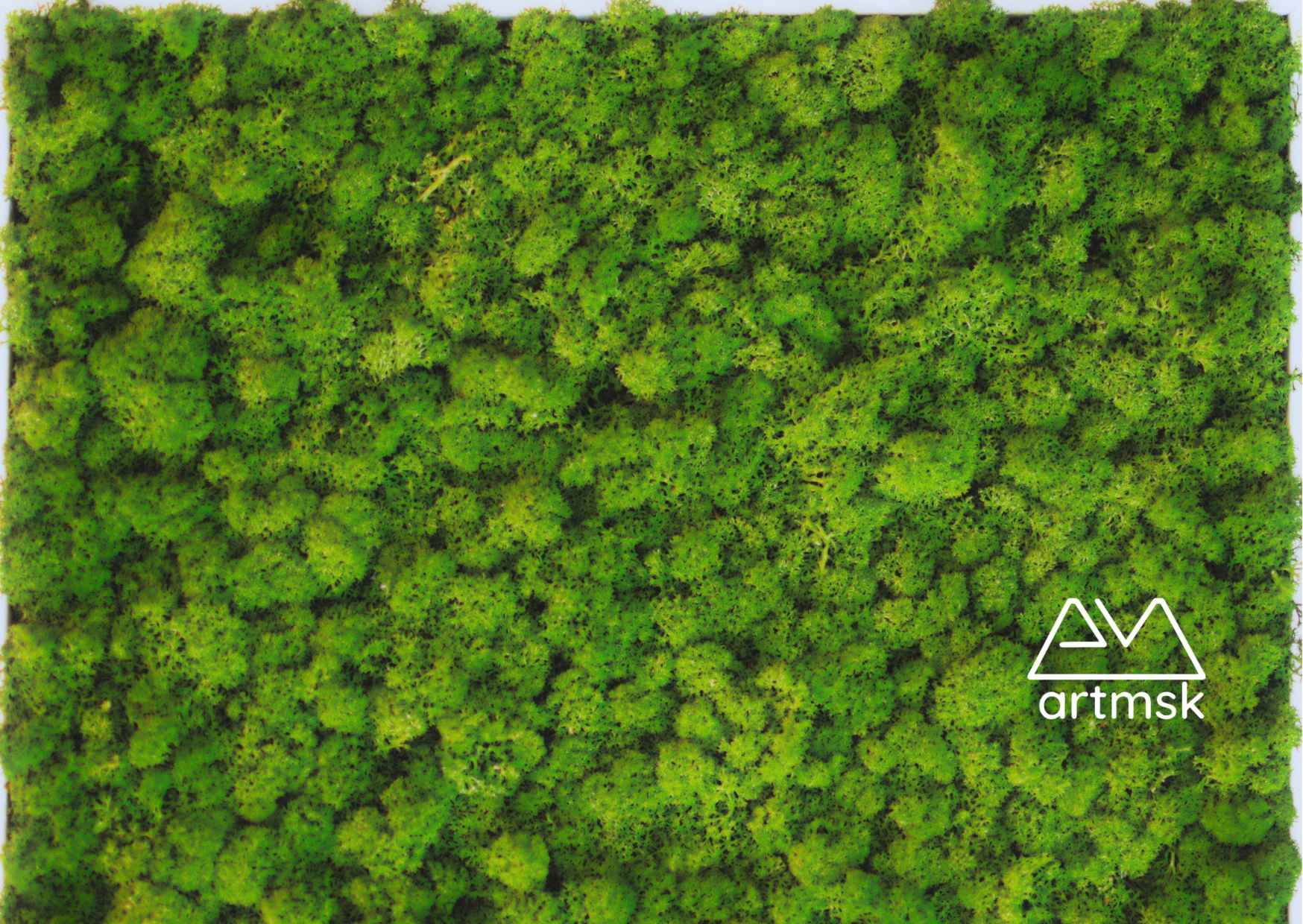 Moss Wall